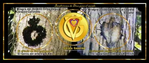 Milagros de Dios corazones sagrados de sanidad de Vicjes Gonród GSXXI 2